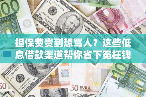 济南担保费贵到想骂人？这些低息借款渠道帮你省下冤枉钱