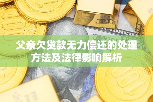济南父亲欠贷款无力偿还的处理方法及法律影响解析